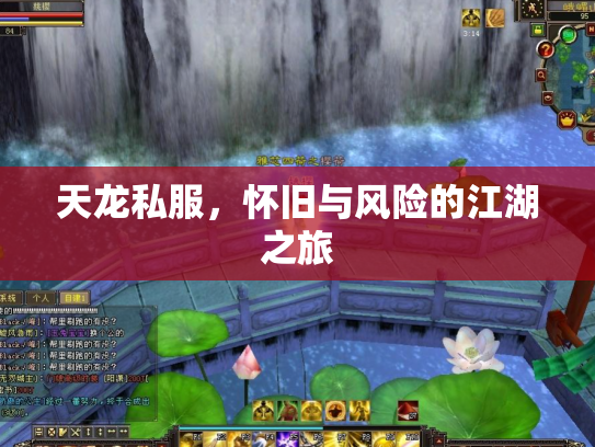 天龙私服，怀旧与风险的江湖之旅