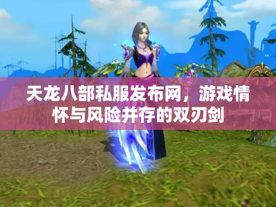 天龙八部私服发布网，游戏情怀与风险并存的双刃剑