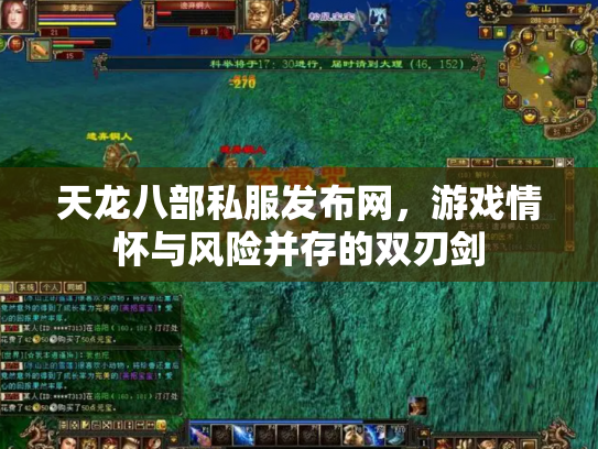 天龙八部私服发布网，游戏情怀与风险并存的双刃剑