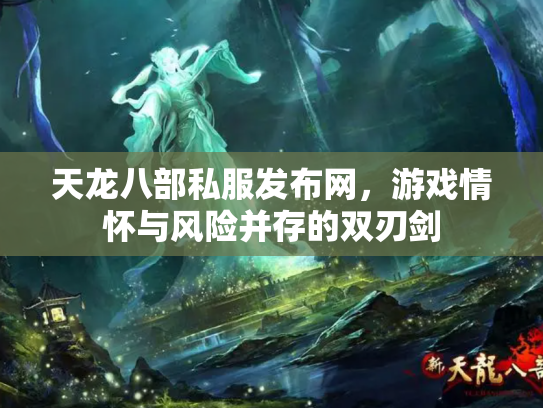 天龙八部私服发布网，游戏情怀与风险并存的双刃剑