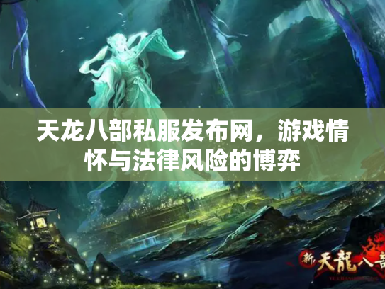 天龙八部私服发布网，游戏情怀与法律风险的博弈
