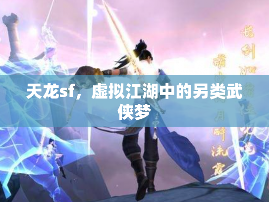 天龙sf，虚拟江湖中的另类武侠梦