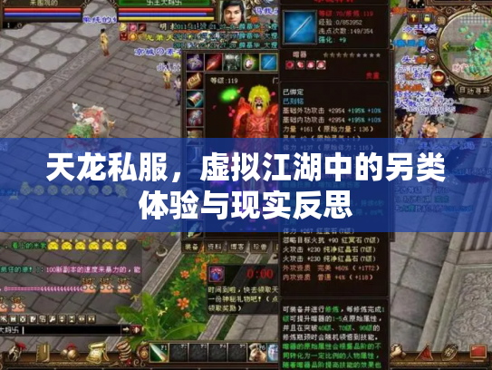 天龙私服，虚拟江湖中的另类体验与现实反思