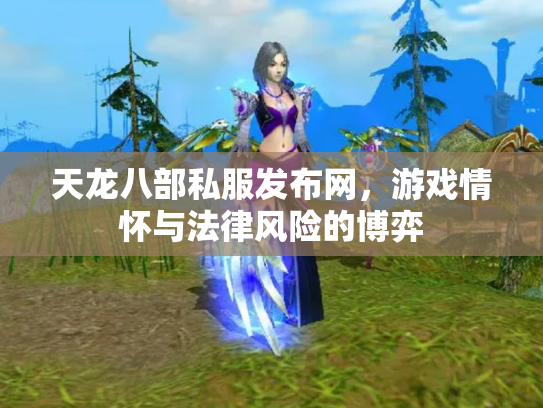 天龙八部私服发布网，游戏情怀与法律风险的博弈