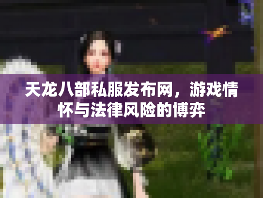 天龙八部私服发布网，游戏情怀与法律风险的博弈
