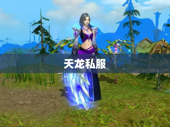 天龙私服