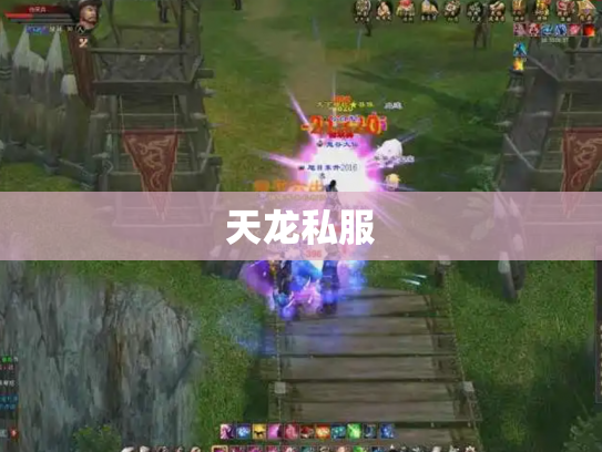 天龙私服