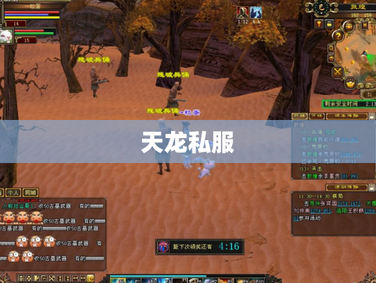 天龙私服