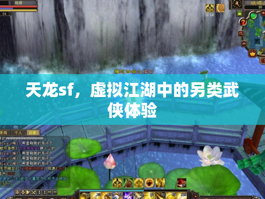 天龙sf，虚拟江湖中的另类武侠体验