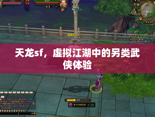 天龙sf，虚拟江湖中的另类武侠体验