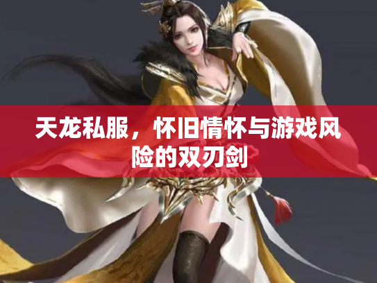 天龙私服，怀旧情怀与游戏风险的双刃剑