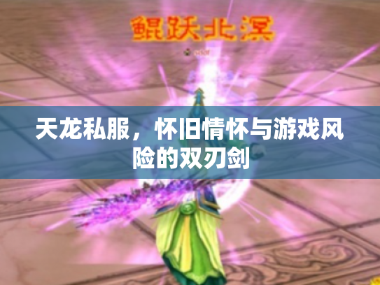 天龙私服，怀旧情怀与游戏风险的双刃剑