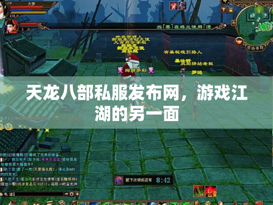 天龙八部私服发布网，游戏江湖的另一面