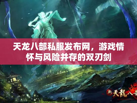 天龙八部私服发布网，游戏情怀与风险并存的双刃剑