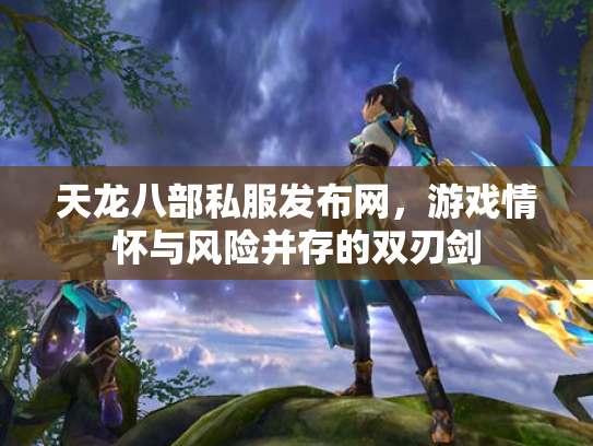天龙八部私服发布网，游戏情怀与风险并存的双刃剑