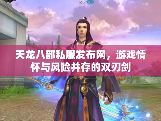天龙八部私服发布网，游戏情怀与风险并存的双刃剑