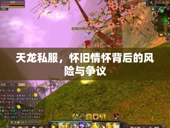 天龙私服，怀旧情怀背后的风险与争议
