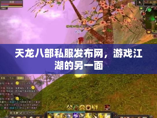 天龙八部私服发布网，游戏江湖的另一面