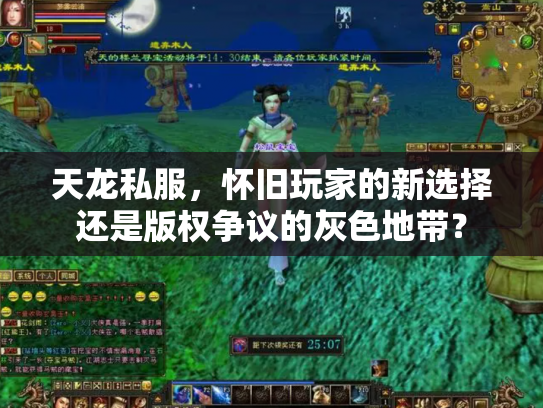 天龙私服，怀旧玩家的新选择还是版权争议的灰色地带？