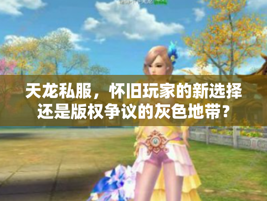 天龙私服，怀旧玩家的新选择还是版权争议的灰色地带？