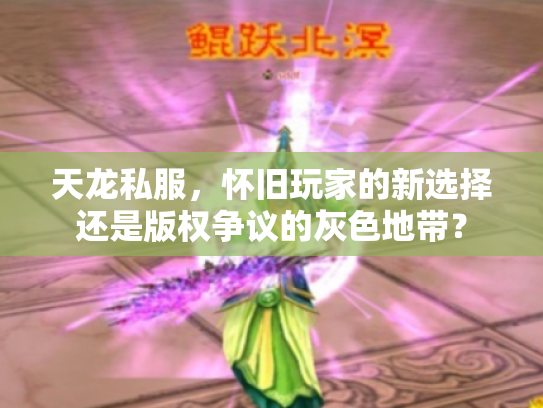 天龙私服，怀旧玩家的新选择还是版权争议的灰色地带？