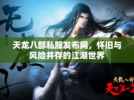 天龙八部私服发布网，怀旧与风险并存的江湖世界