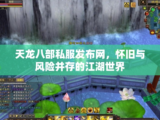 天龙八部私服发布网，怀旧与风险并存的江湖世界