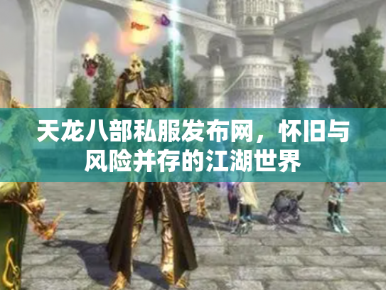 天龙八部私服发布网，怀旧与风险并存的江湖世界