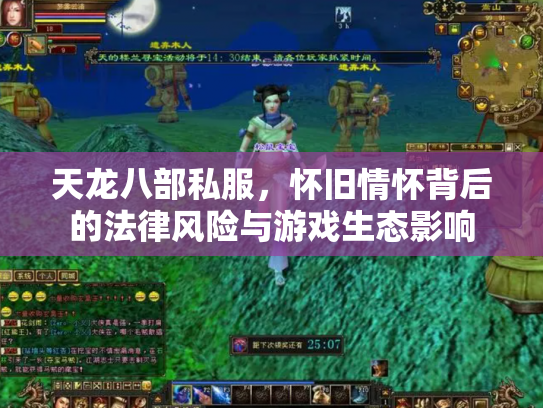 天龙八部私服，怀旧情怀背后的法律风险与游戏生态影响
