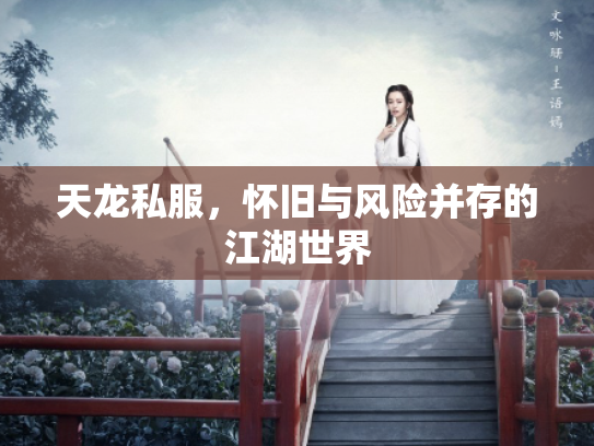 天龙私服，怀旧与风险并存的江湖世界