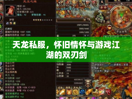 天龙私服，怀旧情怀与游戏江湖的双刃剑