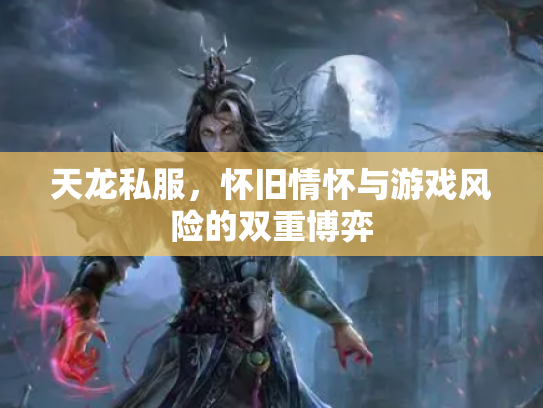 天龙私服，怀旧情怀与游戏风险的双重博弈