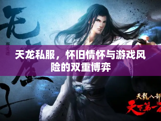 天龙私服，怀旧情怀与游戏风险的双重博弈
