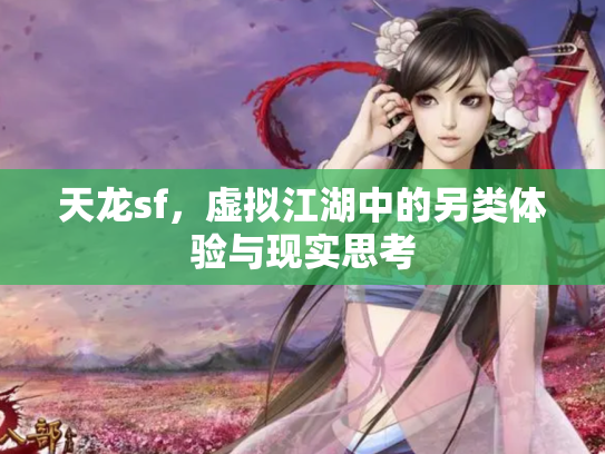 天龙sf，虚拟江湖中的另类体验与现实思考