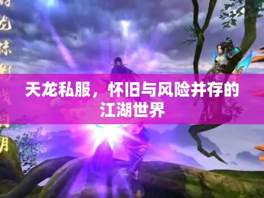 天龙私服，怀旧与风险并存的江湖世界