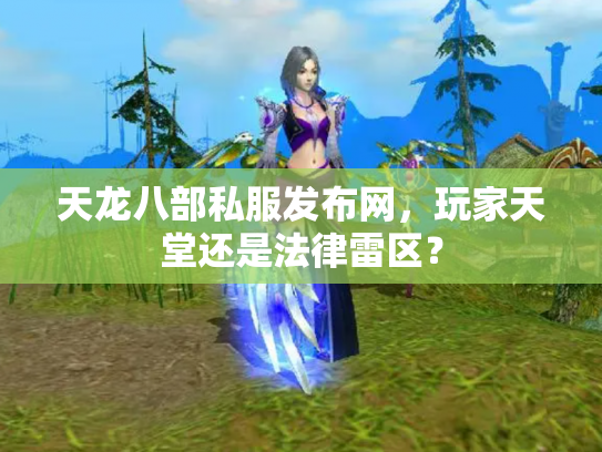 天龙八部私服发布网，玩家天堂还是法律雷区？