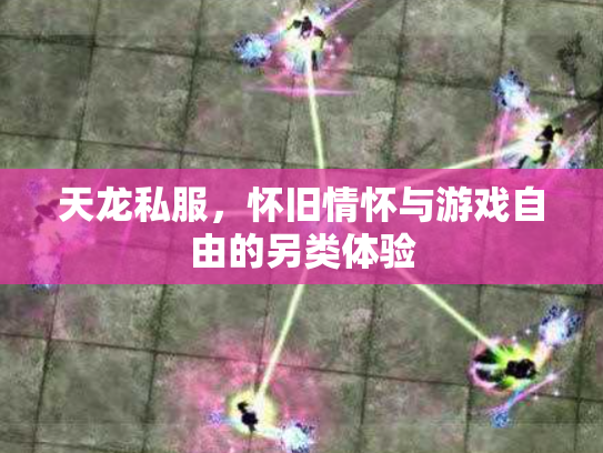 天龙私服，怀旧情怀与游戏自由的另类体验