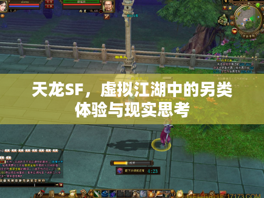 天龙SF，虚拟江湖中的另类体验与现实思考