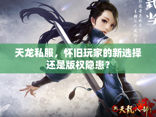 天龙私服，怀旧玩家的新选择还是版权隐患？