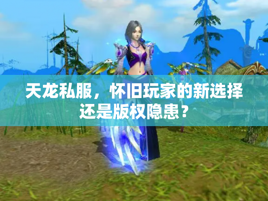天龙私服，怀旧玩家的新选择还是版权隐患？