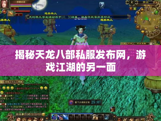 揭秘天龙八部私服发布网，游戏江湖的另一面