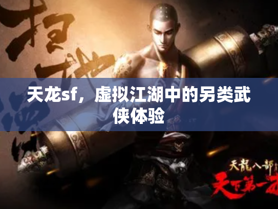 天龙sf，虚拟江湖中的另类武侠体验
