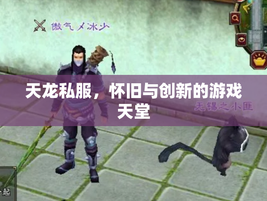 天龙私服，怀旧与创新的游戏天堂