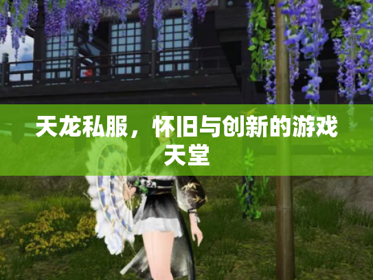 天龙私服，怀旧与创新的游戏天堂