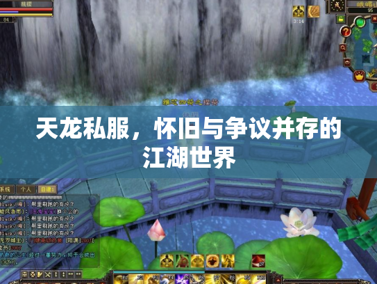 天龙私服，怀旧与争议并存的江湖世界