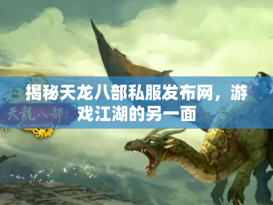 揭秘天龙八部私服发布网，游戏江湖的另一面