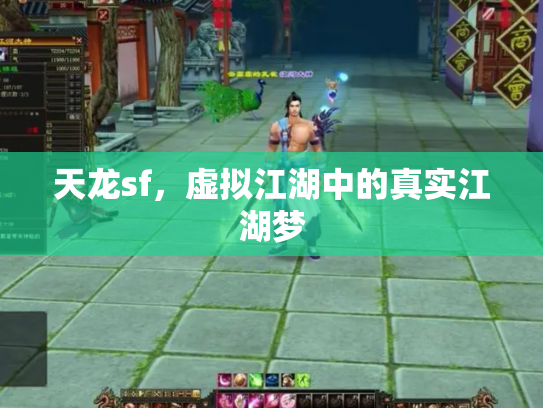 天龙sf，虚拟江湖中的真实江湖梦