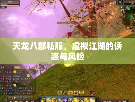 天龙八部私服，虚拟江湖的诱惑与风险