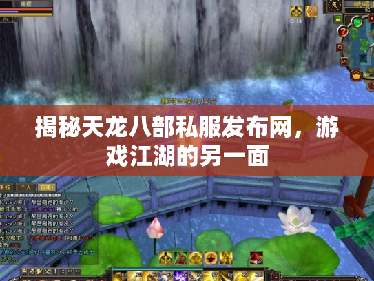揭秘天龙八部私服发布网，游戏江湖的另一面