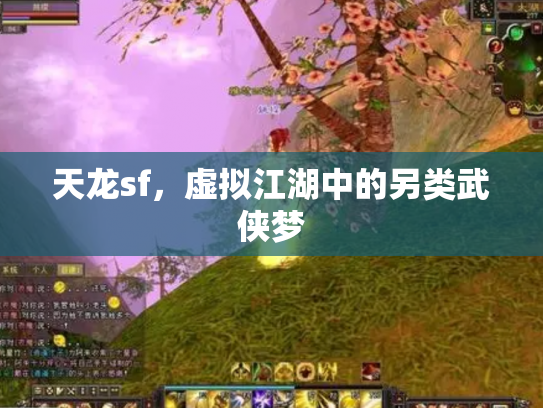 天龙sf，虚拟江湖中的另类武侠梦